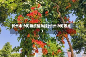 忻州市沙河镇疫情防控(忻州沙河景点)