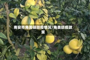 南安市角美镇防疫情况/角美防疫政策