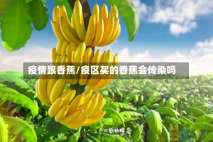 疫情跟香蕉/疫区买的香蕉会传染吗