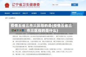 疫情五省三市三区指的是(疫情五省三市三区指的是什么)