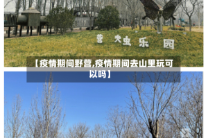 【疫情期间野营,疫情期间去山里玩可以吗】