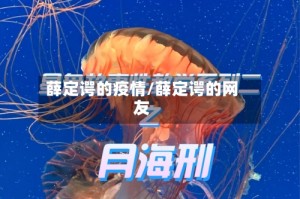 薛定谔的疫情/薛定谔的网友