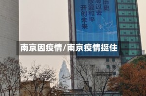 南京因疫情/南京疫情挺住