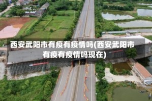 西安武阳市有疫有疫情吗(西安武阳市有疫有疫情吗现在)