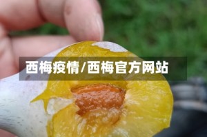 西梅疫情/西梅官方网站