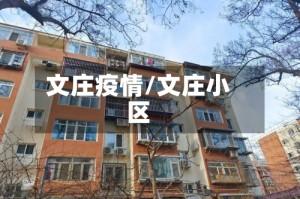 文庄疫情/文庄小区