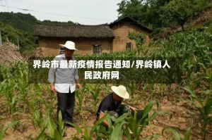 界岭市最新疫情报告通知/界岭镇人民政府网