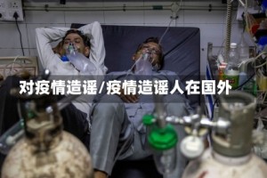 对疫情造谣/疫情造谣人在国外