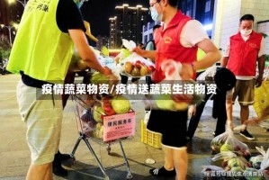疫情蔬菜物资/疫情送蔬菜生活物资