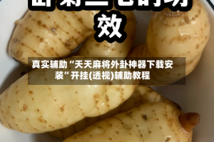 真实辅助“天天麻将外卦神器下载安装”开挂(透视)辅助教程