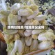 疫情娃娃菜/娃娃菜安全吗