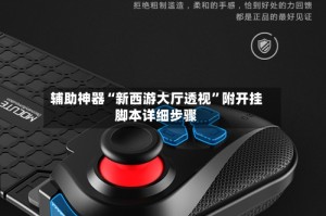 辅助神器“新西游大厅透视”附开挂脚本详细步骤