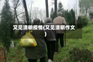 又见清明疫情(又见清明作文)