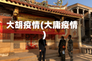 大胡疫情(大庸疫情)