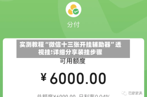 实测教程“微信十三张开挂辅助器”透视挂!详细分享装挂步骤
