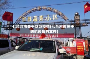 七台河市关于防范疫情(七台河市关于防范疫情的文件)