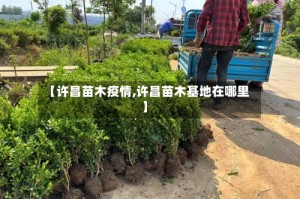 【许昌苗木疫情,许昌苗木基地在哪里】