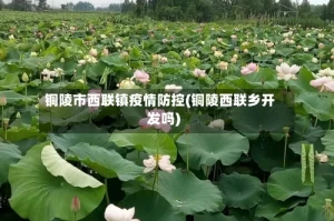 铜陵市西联镇疫情防控(铜陵西联乡开发吗)