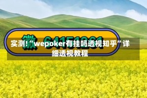 实测!“wepoker有挂吗透视知乎”详细透视教程