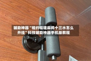 辅助神器“相约福建麻将十三水怎么开挂”科技辅助神器手机版教程