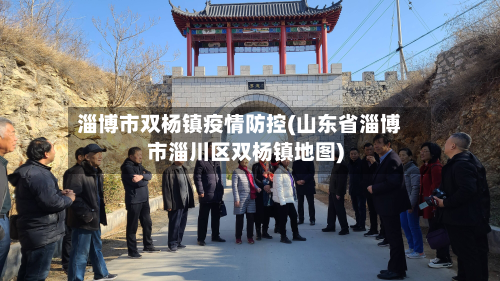 淄博市双杨镇疫情防控(山东省淄博市淄川区双杨镇地图)-第1张图片