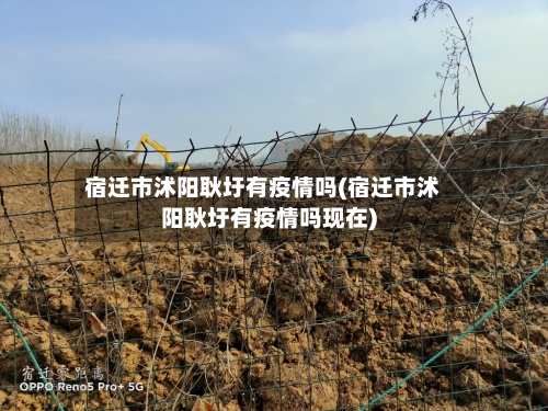 宿迁市沭阳耿圩有疫情吗(宿迁市沭阳耿圩有疫情吗现在)-第2张图片