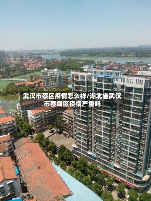 武汉市蔡区疫情怎么样/湖北省武汉市蔡甸区疫情严重吗-第2张图片
