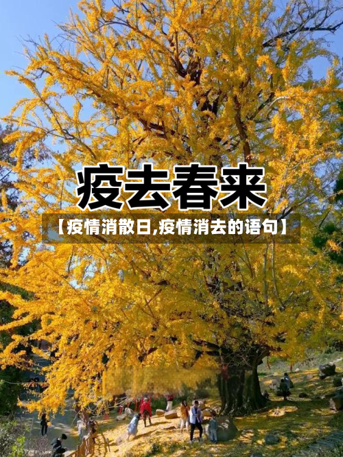 【疫情消散日,疫情消去的语句】-第1张图片