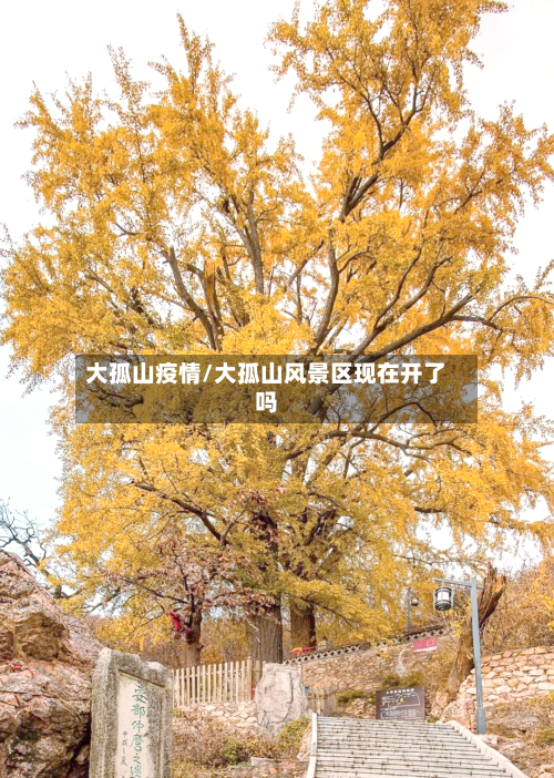 大孤山疫情/大孤山风景区现在开了吗-第1张图片