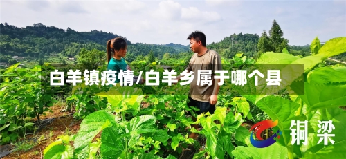 白羊镇疫情/白羊乡属于哪个县-第1张图片