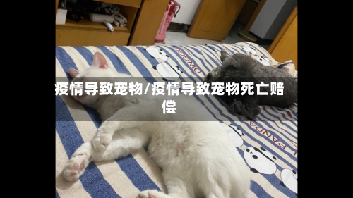 疫情导致宠物/疫情导致宠物死亡赔偿-第1张图片
