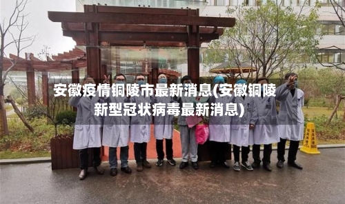 安徽疫情铜陵市最新消息(安徽铜陵新型冠状病毒最新消息)-第2张图片