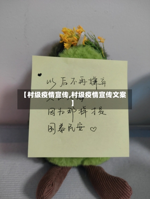 【村级疫情宣传,村级疫情宣传文案】-第1张图片