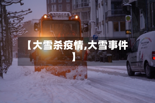 【大雪杀疫情,大雪事件】-第3张图片