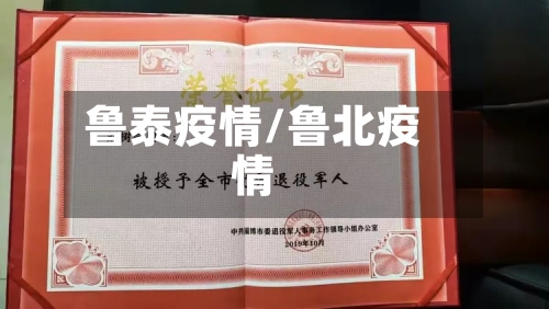 鲁泰疫情/鲁北疫情-第3张图片