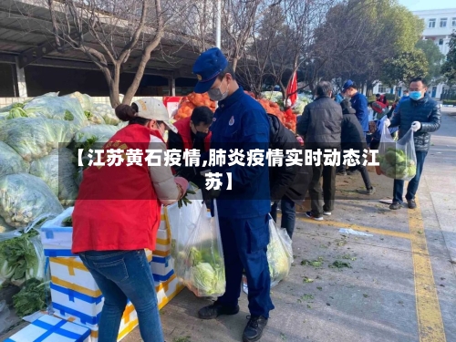 【江苏黄石疫情,肺炎疫情实时动态江苏】-第1张图片