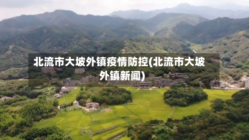 北流市大坡外镇疫情防控(北流市大坡外镇新闻)-第2张图片