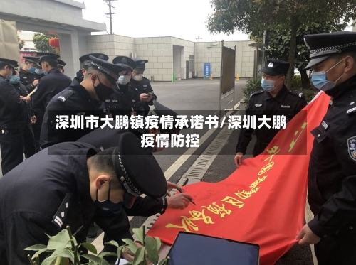 深圳市大鹏镇疫情承诺书/深圳大鹏疫情防控-第2张图片