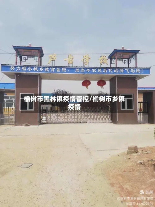 榆树市黑林镇疫情管控/榆树市乡镇疫情-第1张图片