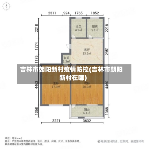 吉林市朝阳新村疫情防控(吉林市朝阳新村在哪)-第1张图片