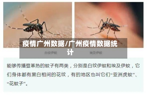 疫情广州数据/广州疫情数据统计-第1张图片