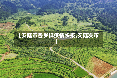 【安陆市各乡镇疫情快报,安陆发布】-第2张图片