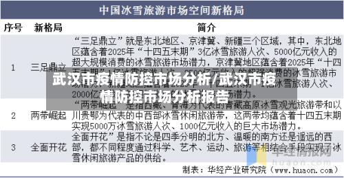 武汉市疫情防控市场分析/武汉市疫情防控市场分析报告-第2张图片