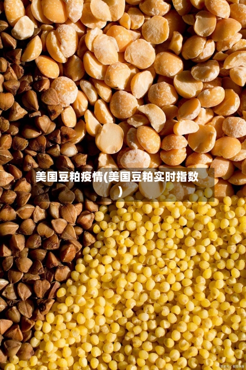 美国豆粕疫情(美国豆粕实时指数)-第2张图片
