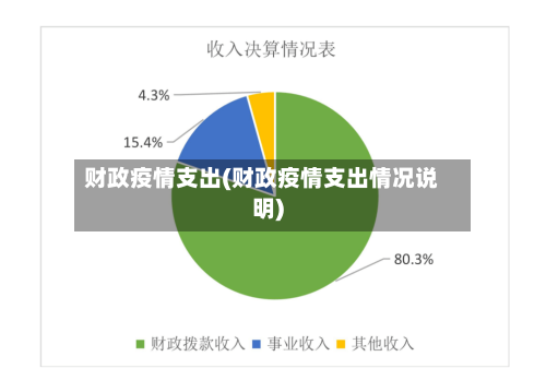 财政疫情支出(财政疫情支出情况说明)-第1张图片