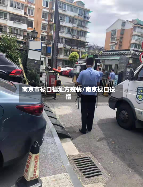 南京市禄口镇埂方疫情/南京禄口役情-第3张图片