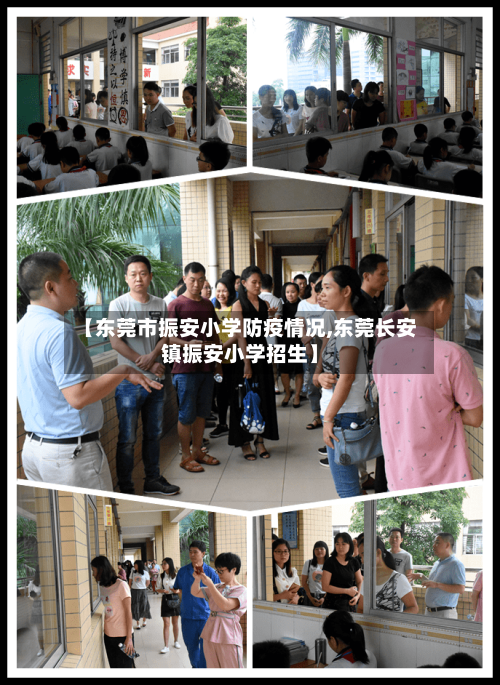 【东莞市振安小学防疫情况,东莞长安镇振安小学招生】-第3张图片