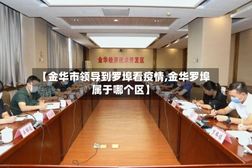 【金华市领导到罗埠看疫情,金华罗埠属于哪个区】-第2张图片