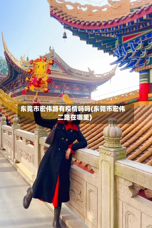 东莞市宏伟路有疫情吗吗(东莞市宏伟二路在哪里)-第2张图片