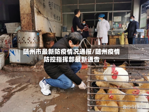 随州市最新防疫情况通报/随州疫情防控指挥部最新通告-第2张图片